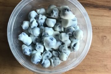 Frozen Yogurt Blueberries