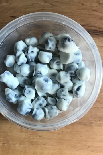 Frozen Yogurt Blueberries